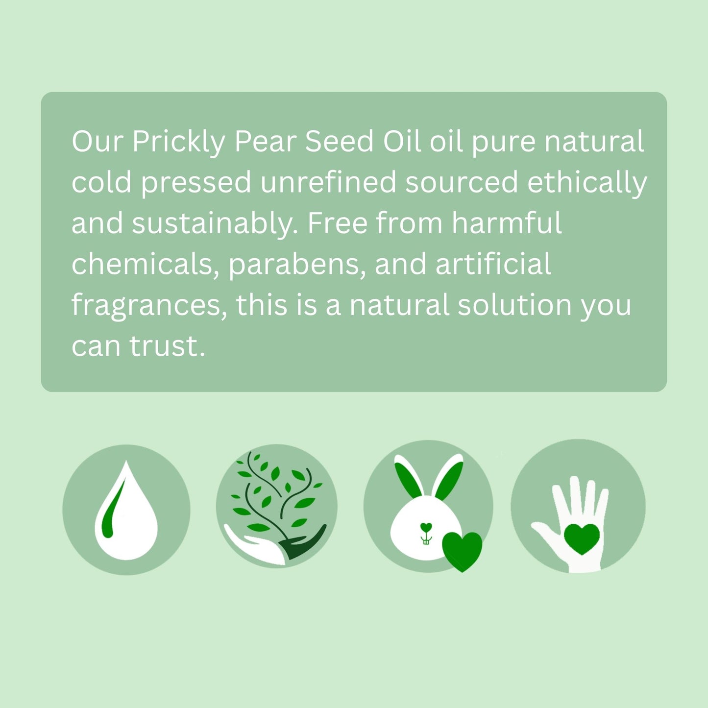 Prickly Pear Seed Oil (Organic, cold pressed, unrefined)