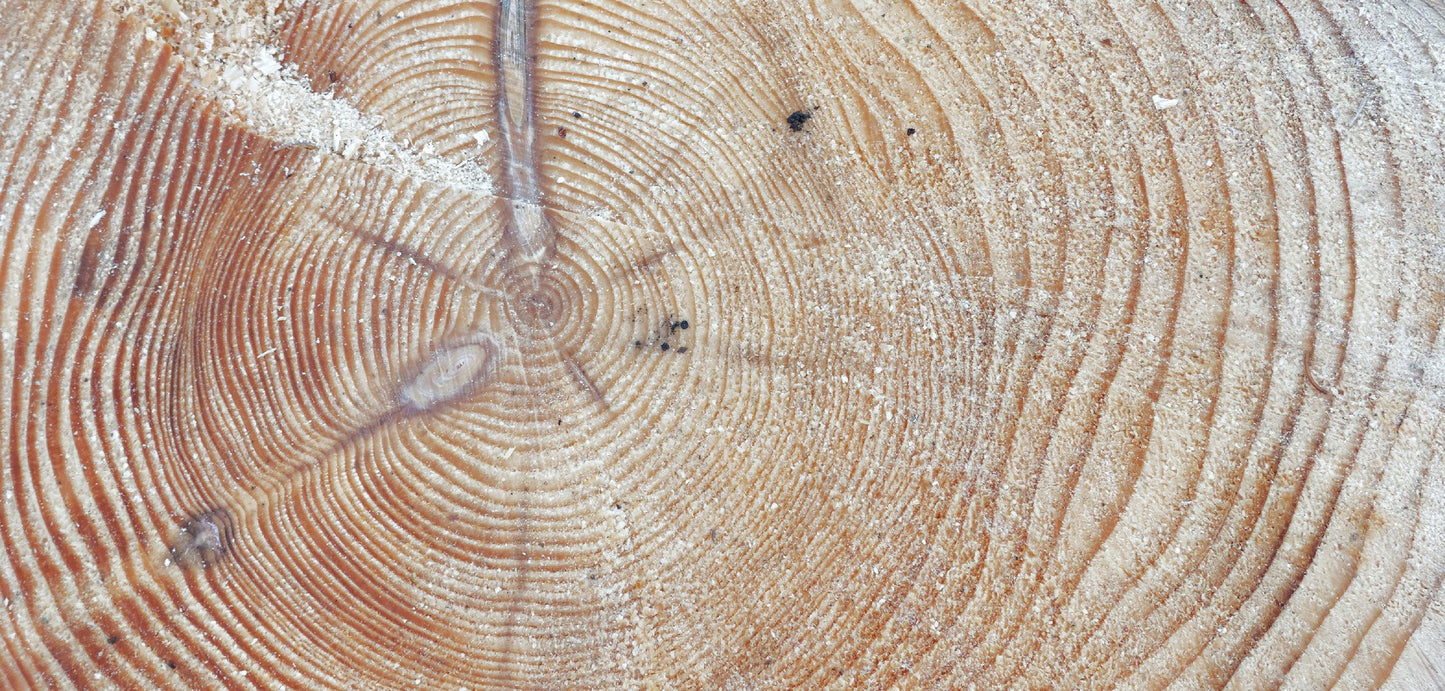 The Original Pine Tar Organic Handmade Soap - Creosote FREE -