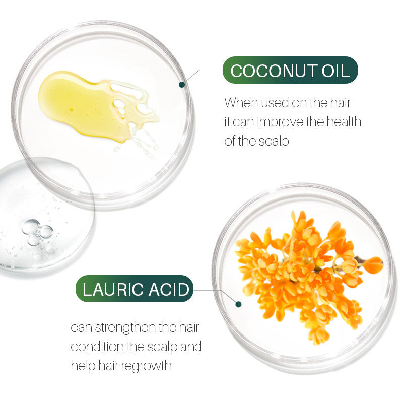 Tea Tree Shampoo – Refreshing Cleanse & Balanced Scalp Care