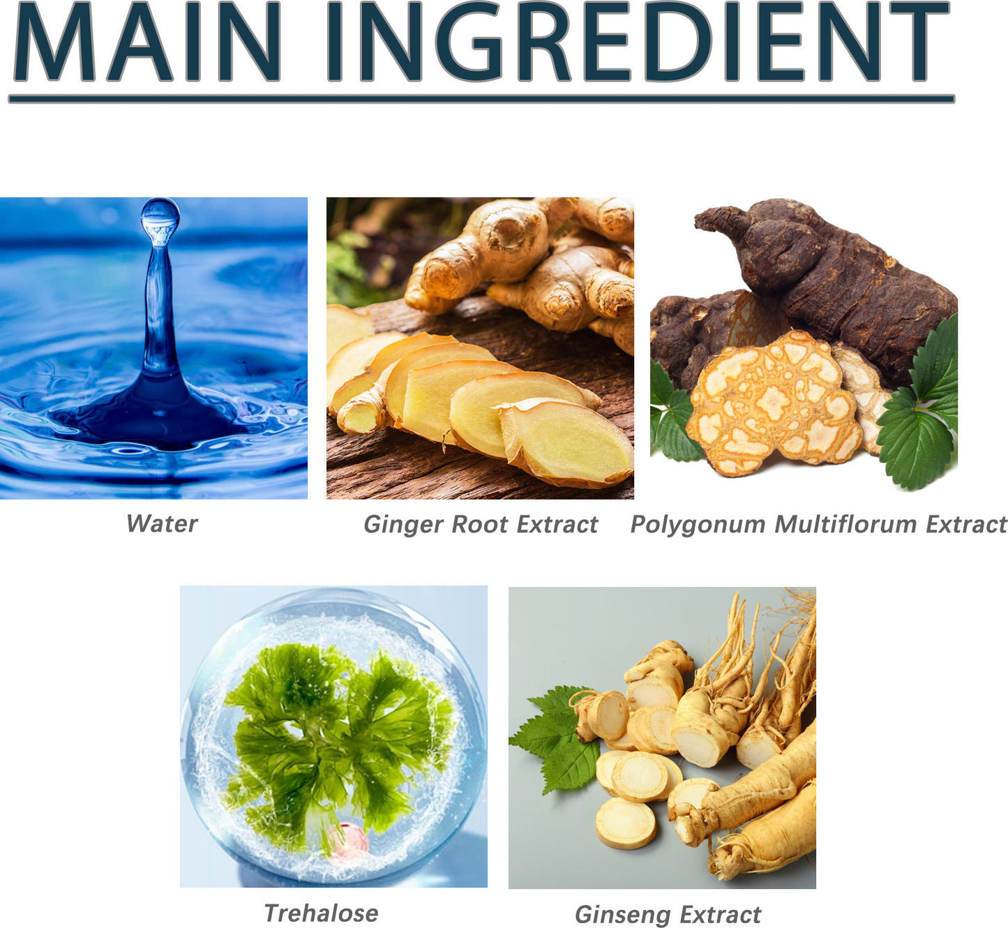 EASTMOON™ – Botanical Root Serum